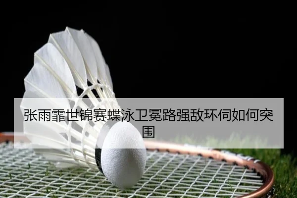 zhang-yu-fei-shi-jin-sai-die-yong-wei-mian-lu-qiang-di-huan-si-ru-he-tu-wei-3-395.jpg