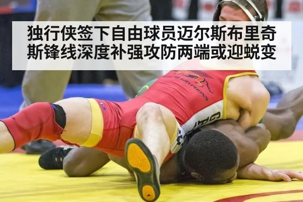 独行侠签下自由球员迈尔斯布里奇斯锋线深度补强攻防两端或迎蜕变